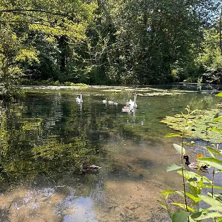 L'impasse - Au Bord De L'eau *