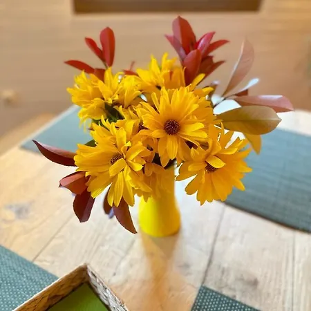 L'impasse - Au Bord De L'eau Holiday home *