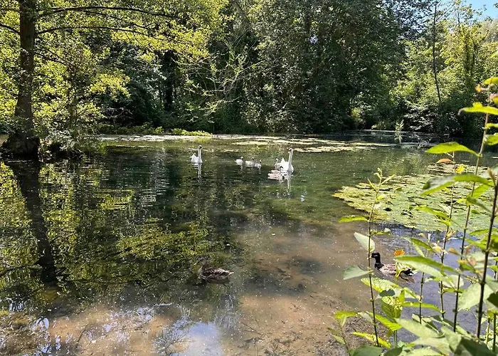 L'impasse - Au Bord De L'eau *